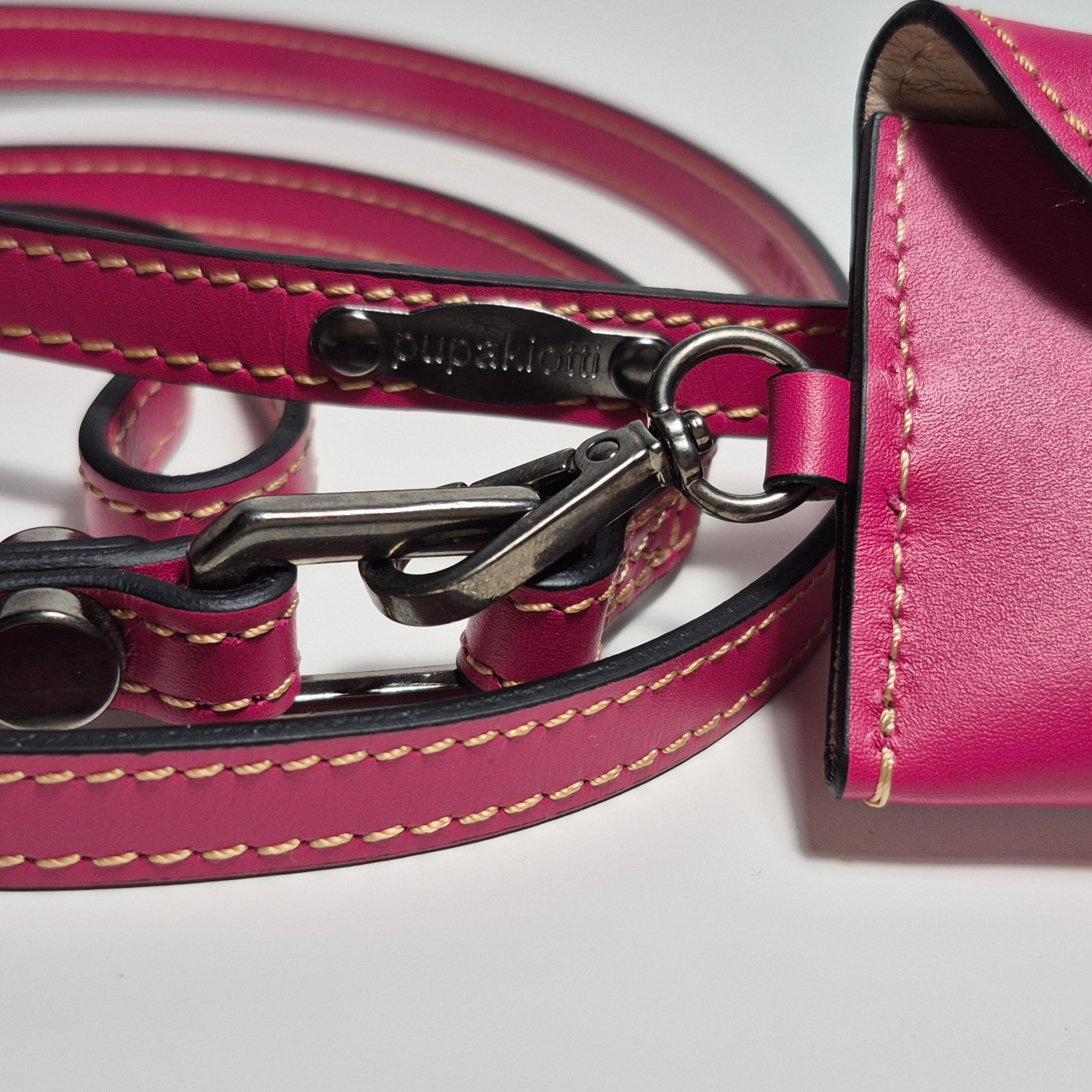 Set Pettorina e Guinzaglio in Pelle con Porta Sacchetti